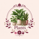 Plants