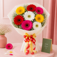 Mixed Brilliance Gerbera Flower Bouquet – Colorful Gerbera Bouquet with Gypsophila Fillers
