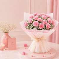 Love For Pastel Carnations Flower Bouquet – 15 Baby Pink Carnations with Gypsophila Fillers