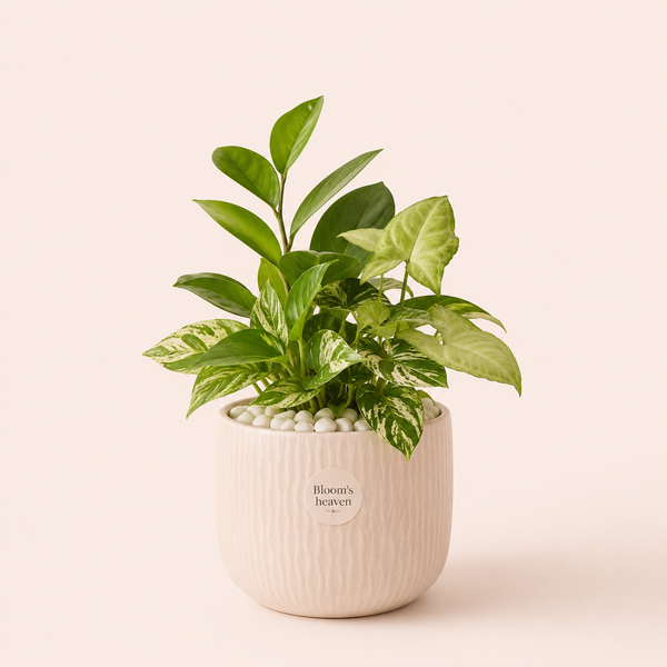Plants